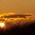 Sonnenuntergang in Noord-Holland (1)