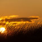 Sonnenuntergang in Noord-Holland (1)