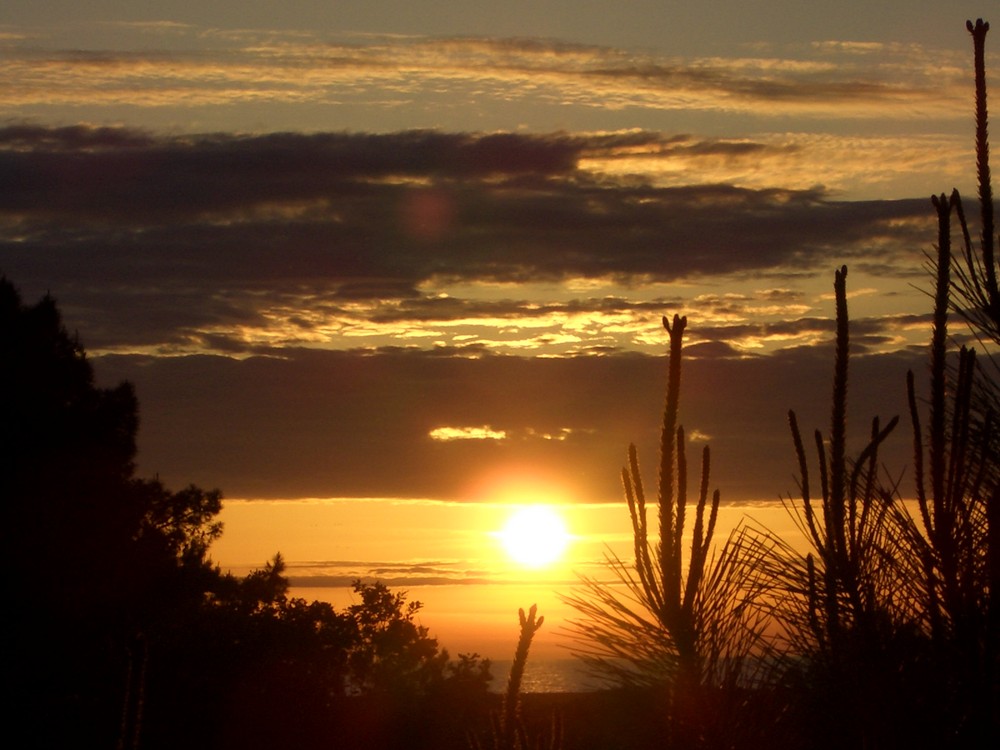 Sonnenuntergang in Noord-Holland