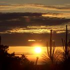 Sonnenuntergang in Noord-Holland