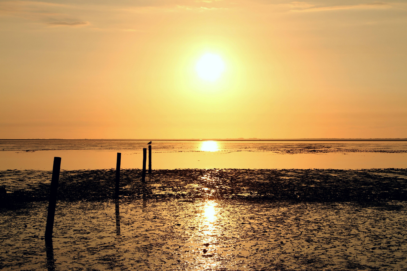 Sonnenuntergang in Norddeich