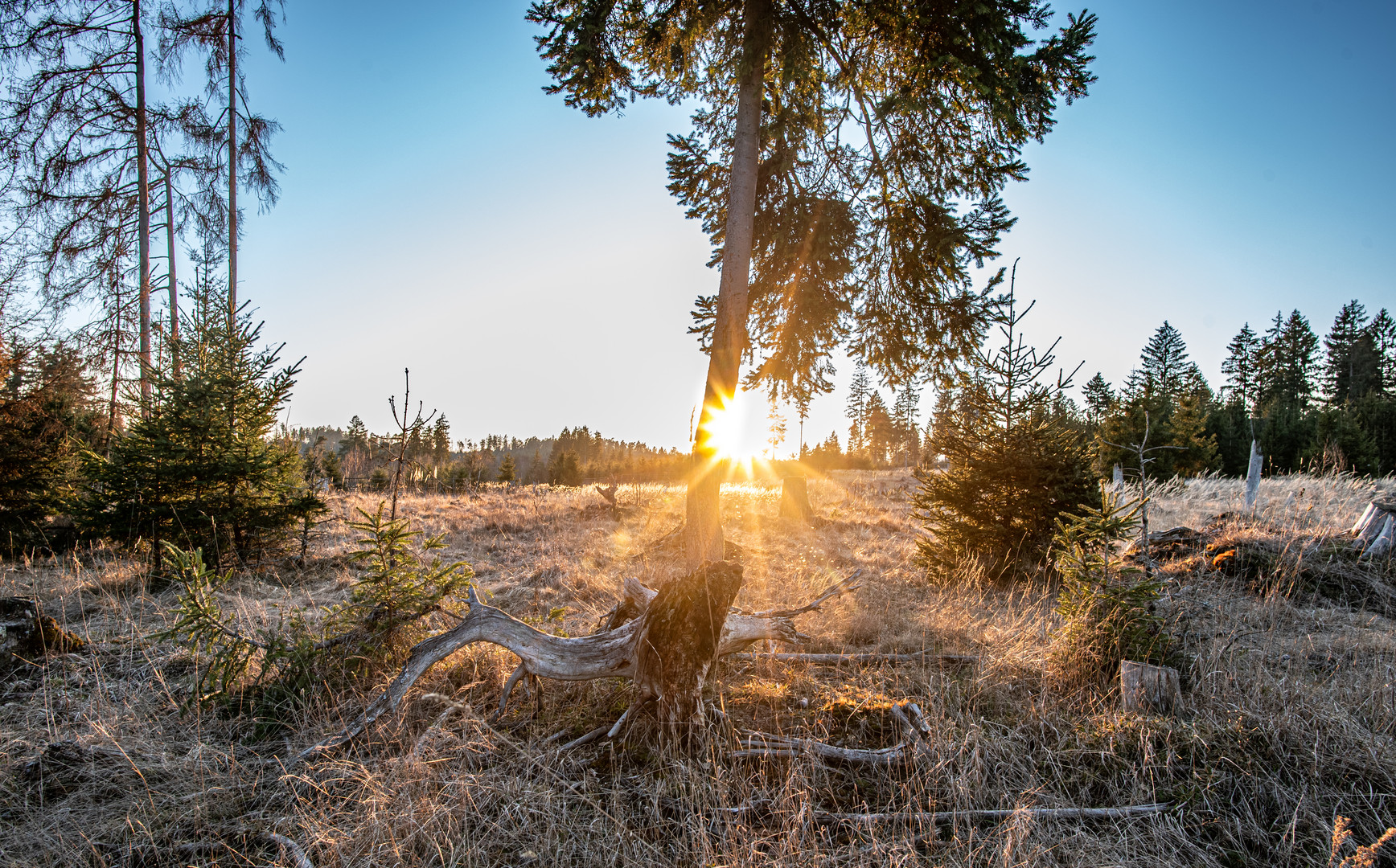 Sonnenuntergang in Nordhessen 