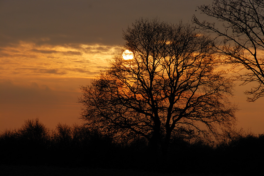 Sonnenuntergang in Nordkirchen