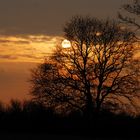 Sonnenuntergang in Nordkirchen