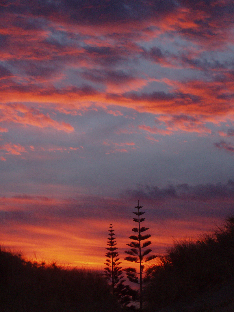 Sonnenuntergang in NZ