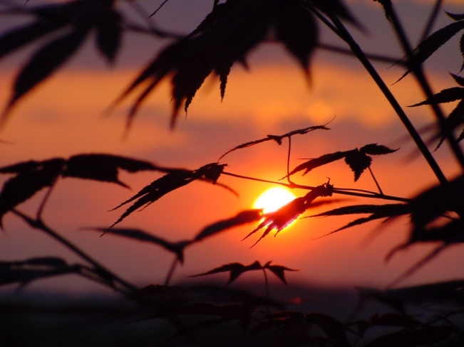 Sonnenuntergang in Oberösterreich von Ernst Bimminger