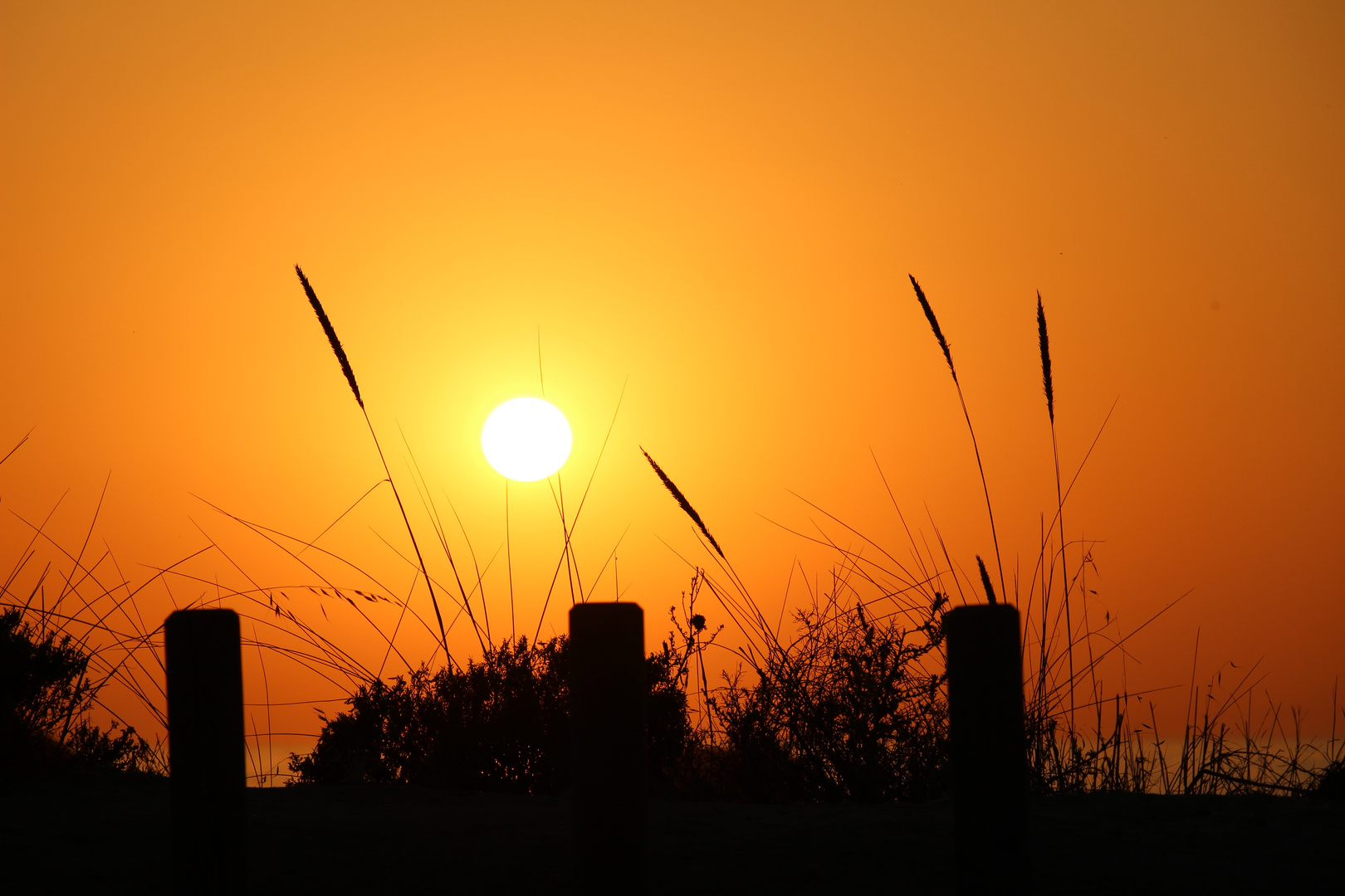 Sonnenuntergang in Odeceixe (Portugal)