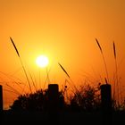 Sonnenuntergang in Odeceixe (Portugal)