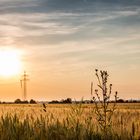 Sonnenuntergang in Oeffingen