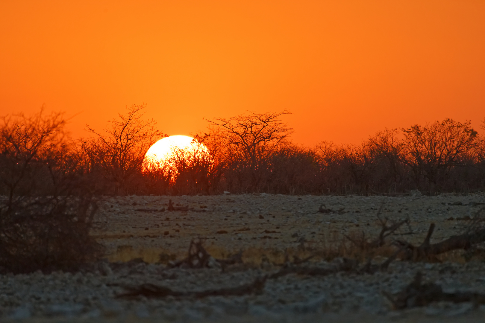 Sonnenuntergang in Okaukuejo