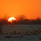 Sonnenuntergang in Okaukuejo