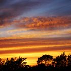 Sonnenuntergang in Ostfriesland