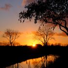 Sonnenuntergang  in Ostfriesland