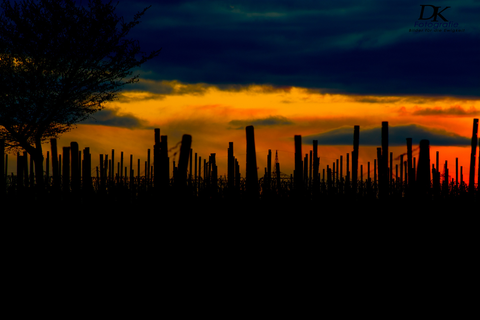 Sonnenuntergang in Osthofen