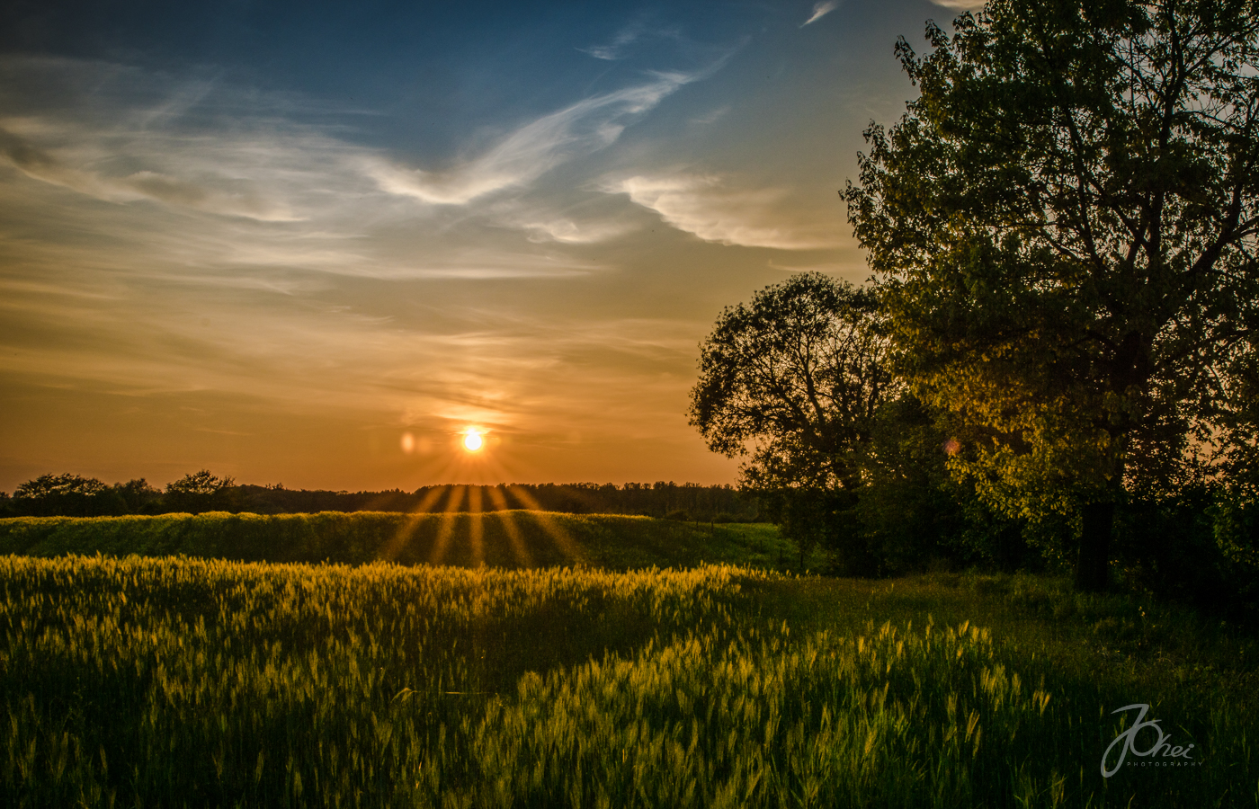 Sonnenuntergang in Ostholstein im Feld