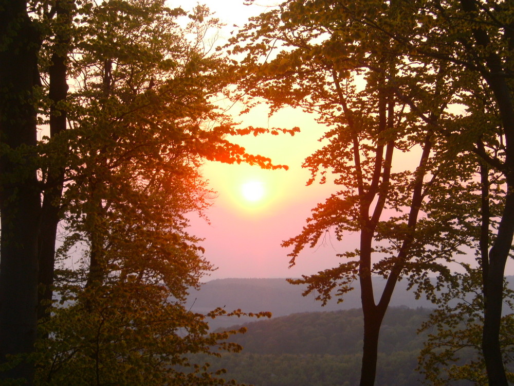 Sonnenuntergang in Ostlutter auf einem Berg