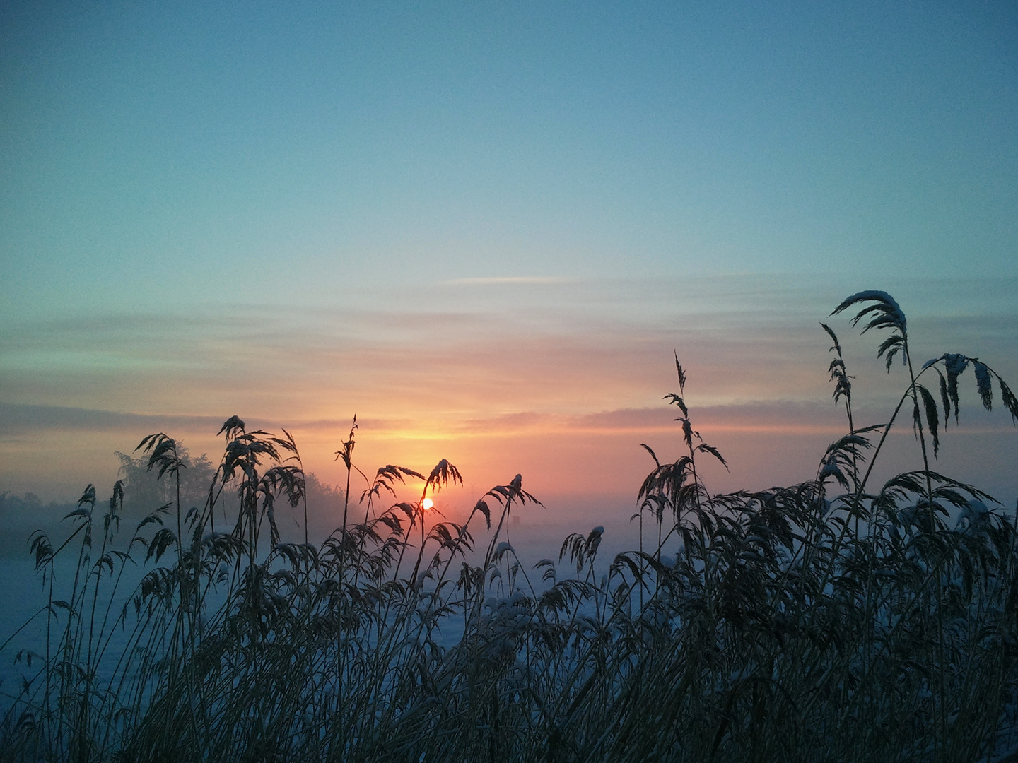 Sonnenuntergang in Ovelgönne