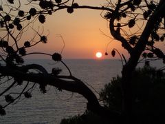 Sonnenuntergang in Paguera auf Mallorca