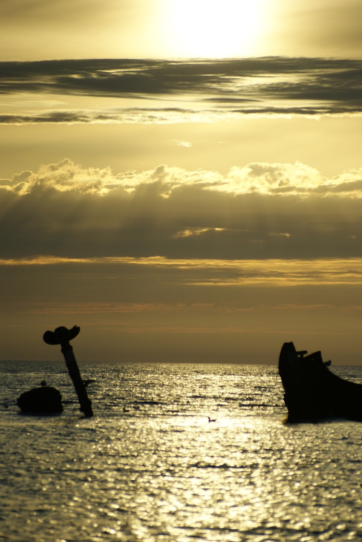 Sonnenuntergang in Petten ( Holland) Schiffswrack