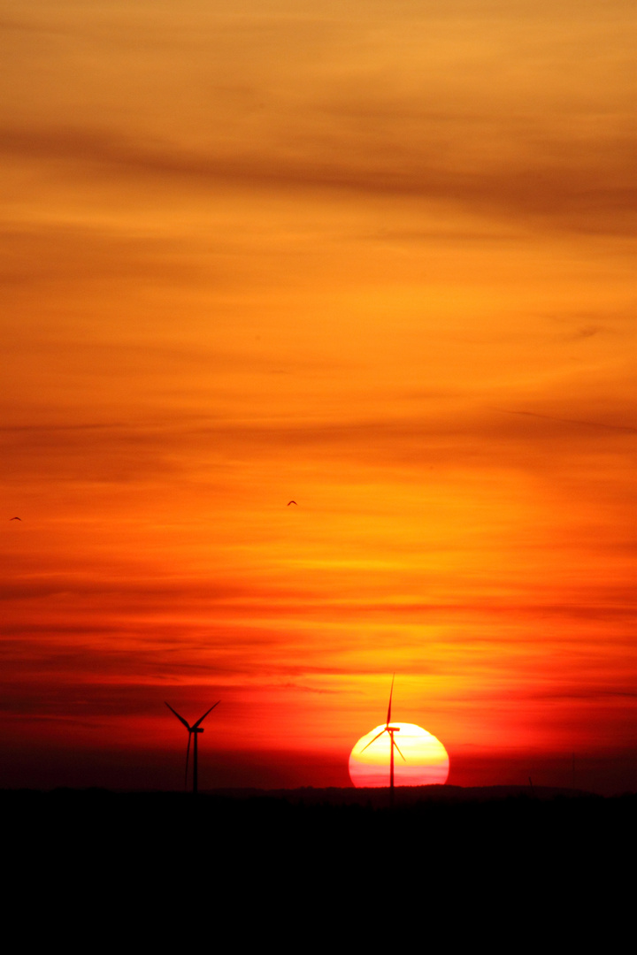 Sonnenuntergang in Pirmasens