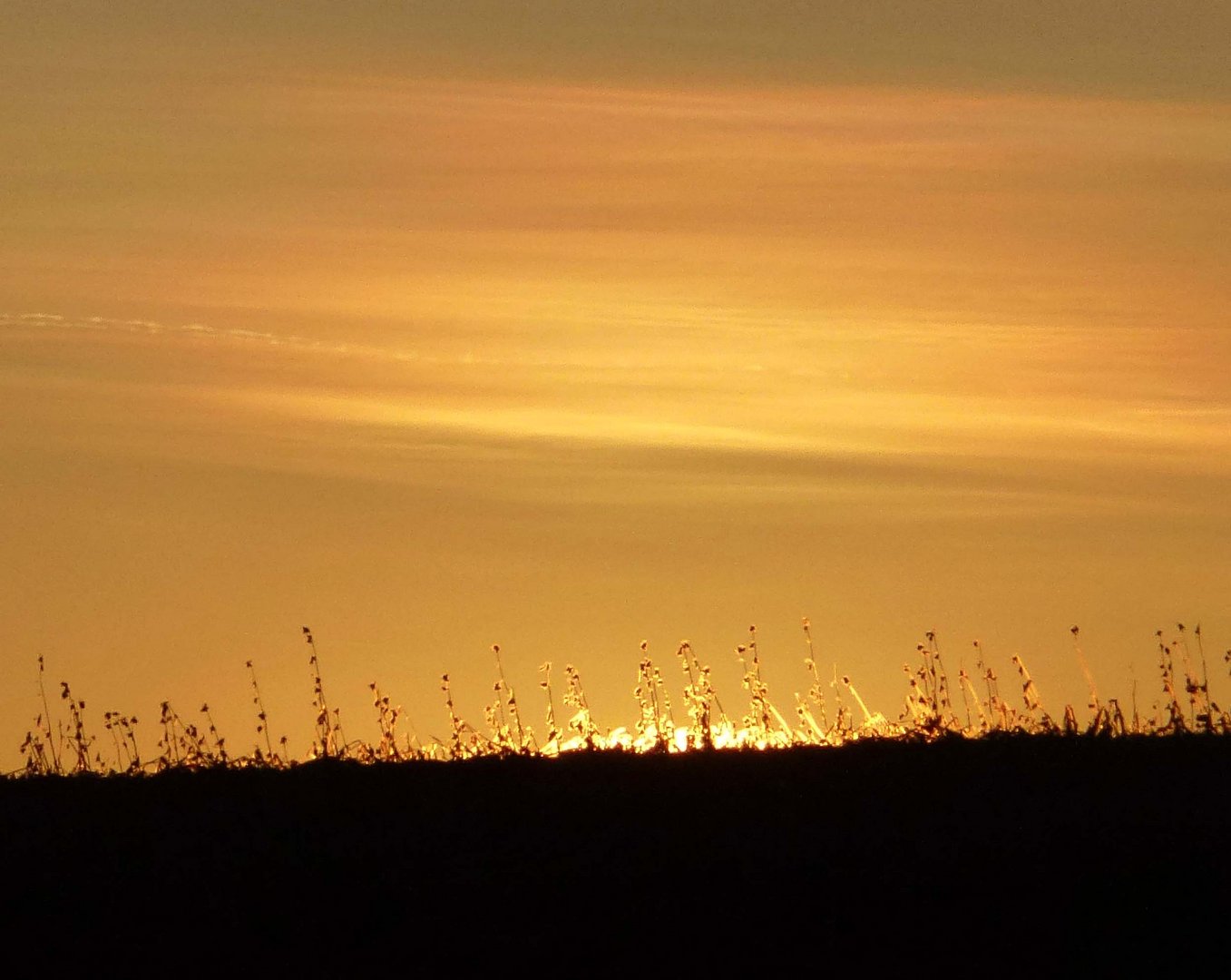 Sonnenuntergang in Pleitmannswang