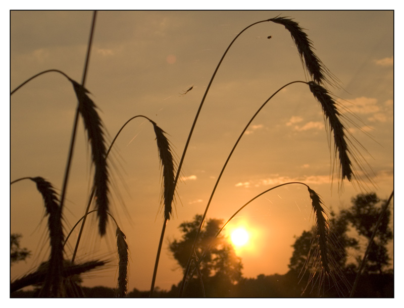 sonnenuntergang in polen