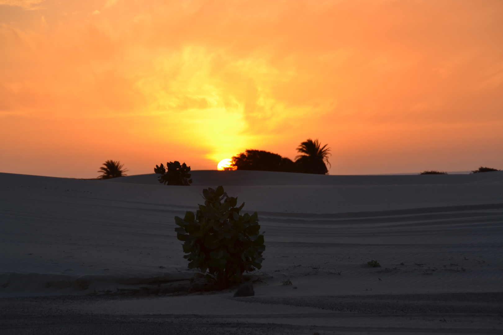 Sonnenuntergang in Praia de Varandhina auf Boa Vista