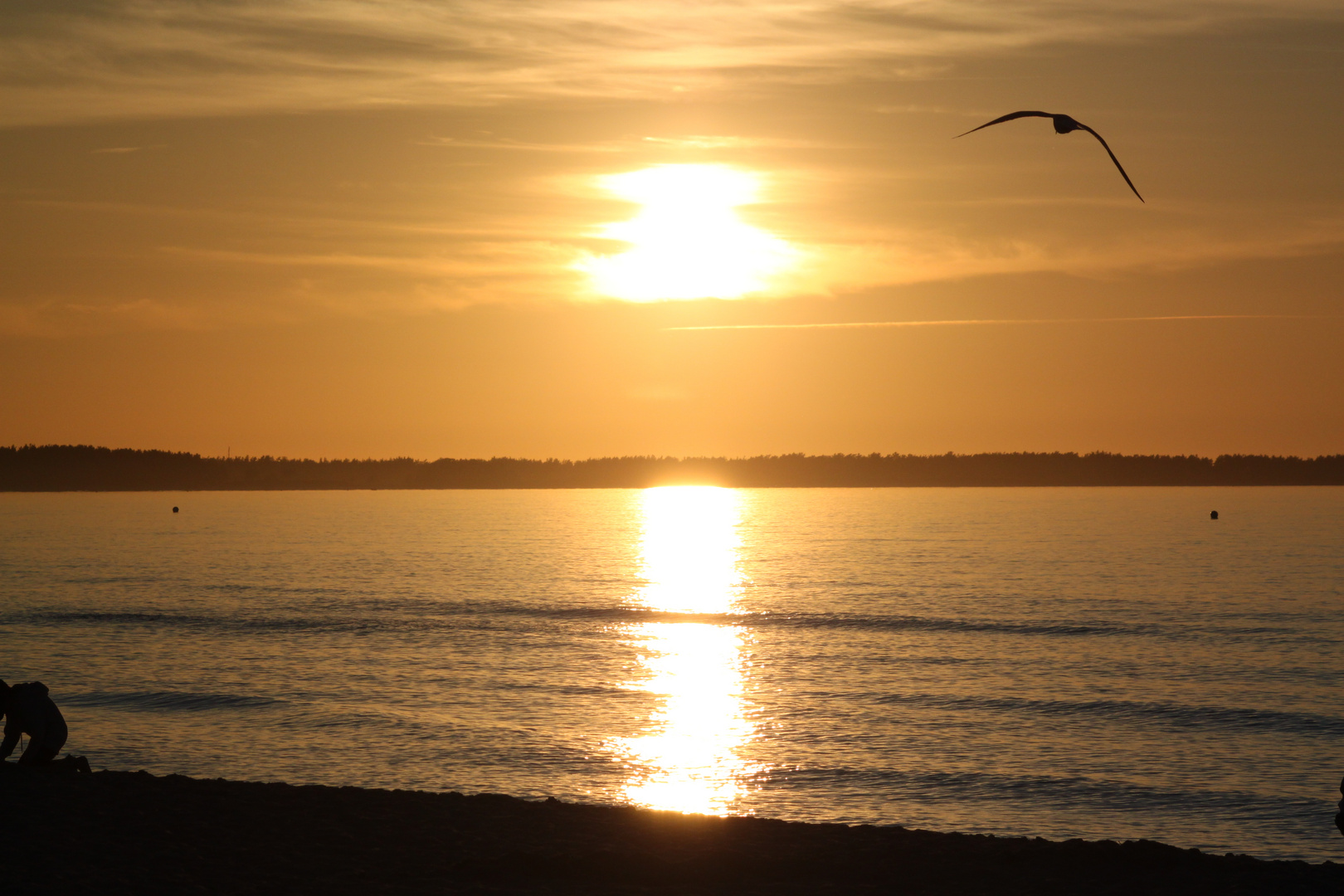 Sonnenuntergang in Prerow