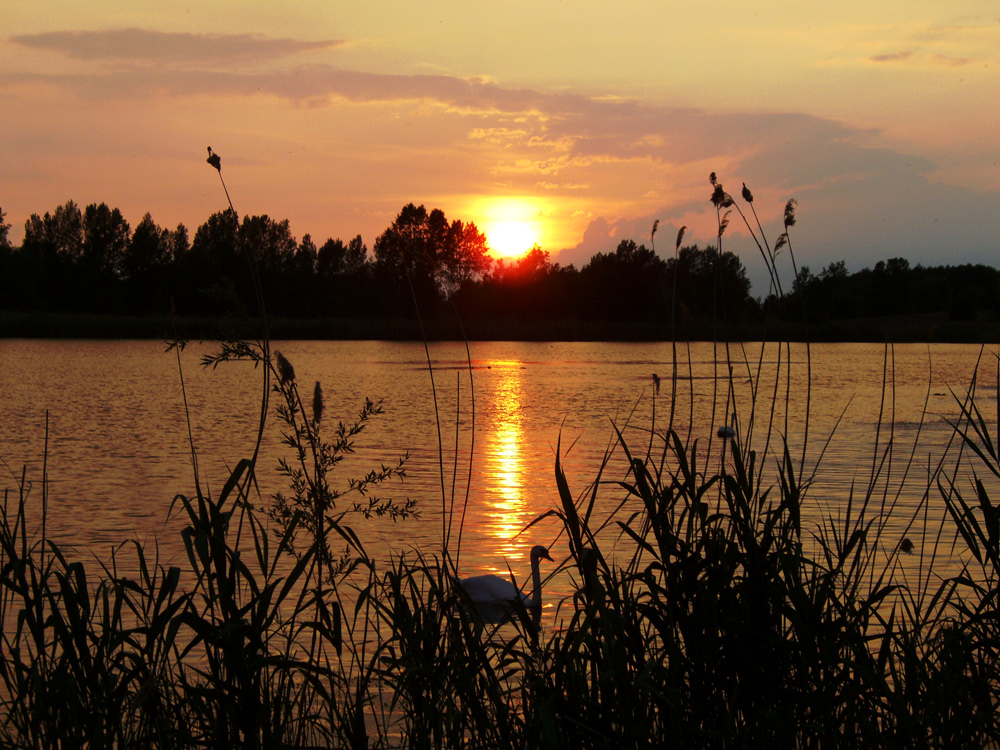 Sonnenuntergang in Prettin