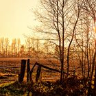 Sonnenuntergang in Quendorf, Samtgemeinde Schüttorf