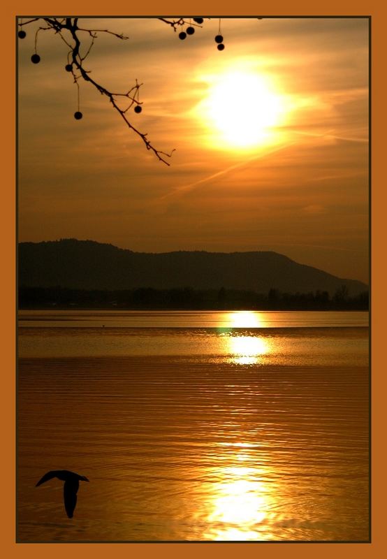 Sonnenuntergang in Radolfzell