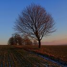 Sonnenuntergang in Rammenau, Sachsen