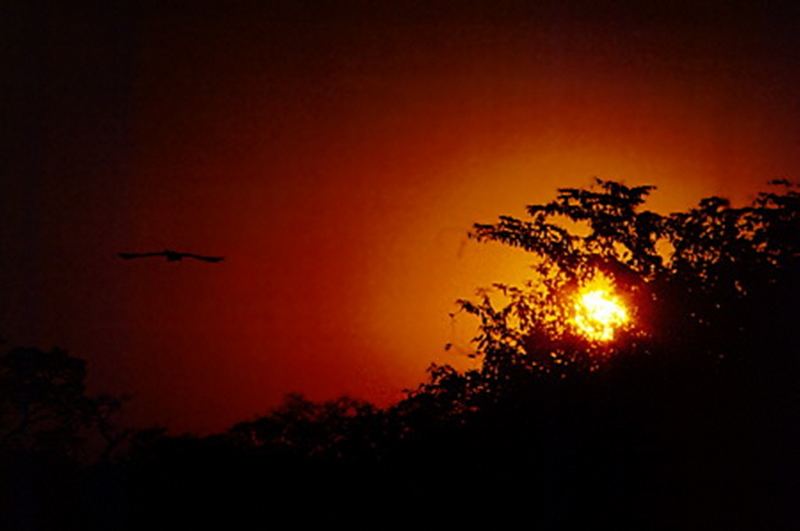 Sonnenuntergang in Rancho Peinado,Pantanal..