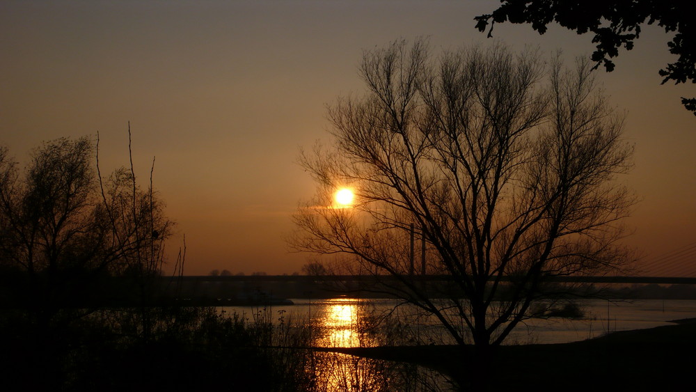 Sonnenuntergang in Rees am Rhein - 2