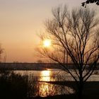 Sonnenuntergang in Rees am Rhein