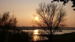 Sonnenuntergang in Rees am Rhein