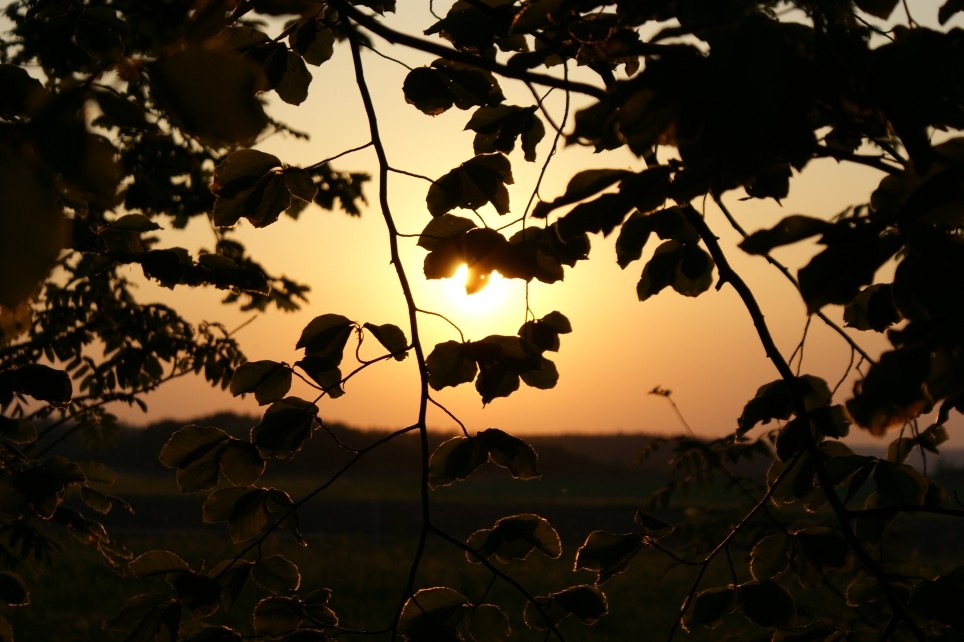 Sonnenuntergang in Reisenbach