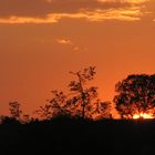 Sonnenuntergang in Renosterpoort