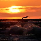 Sonnenuntergang in Rewal (Polnische Ostsee)