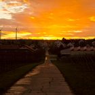 Sonnenuntergang in Rheinhessen