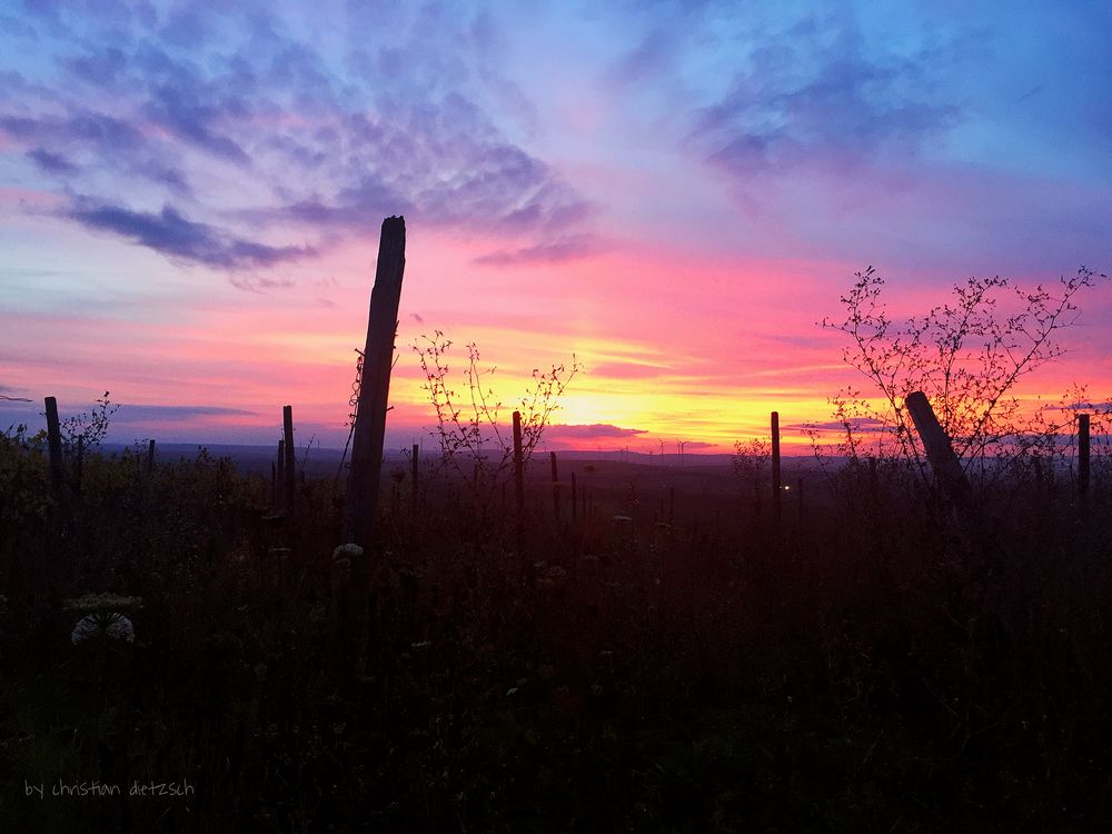 Sonnenuntergang in Rheinhessen