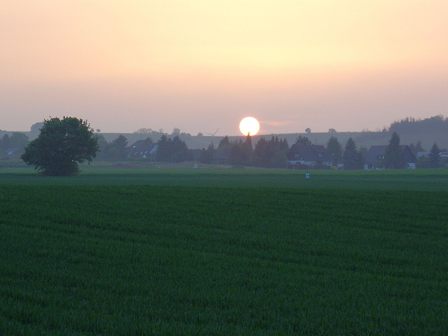 Sonnenuntergang in Rheinhessen