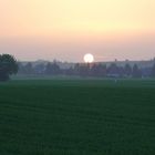 Sonnenuntergang in Rheinhessen