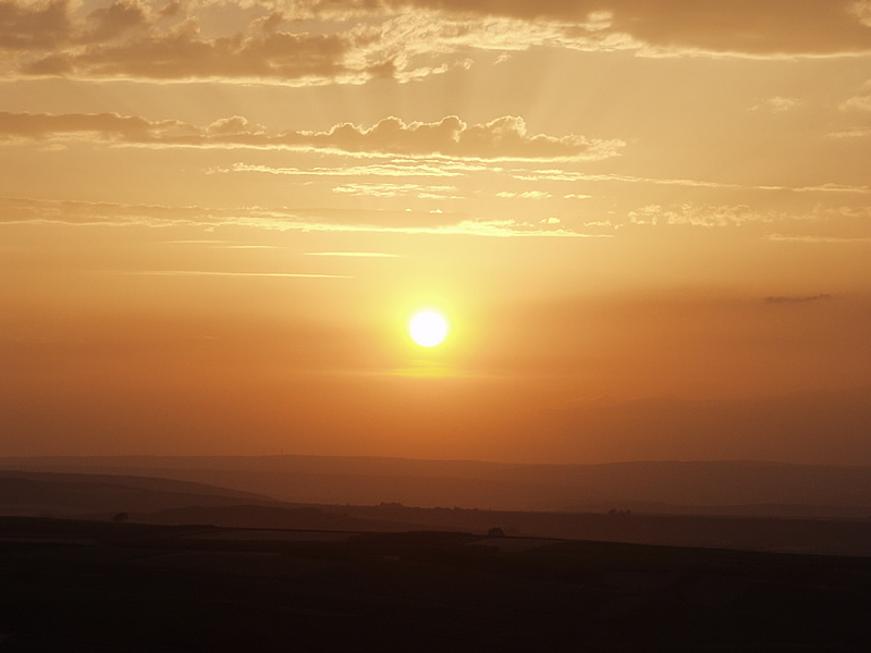 Sonnenuntergang in Rheinhessen