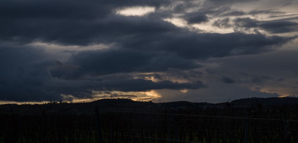 Sonnenuntergang in Rheinhessen am 18.11. 2022 I