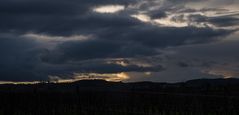 Sonnenuntergang in Rheinhessen am 18.11. 2022 I