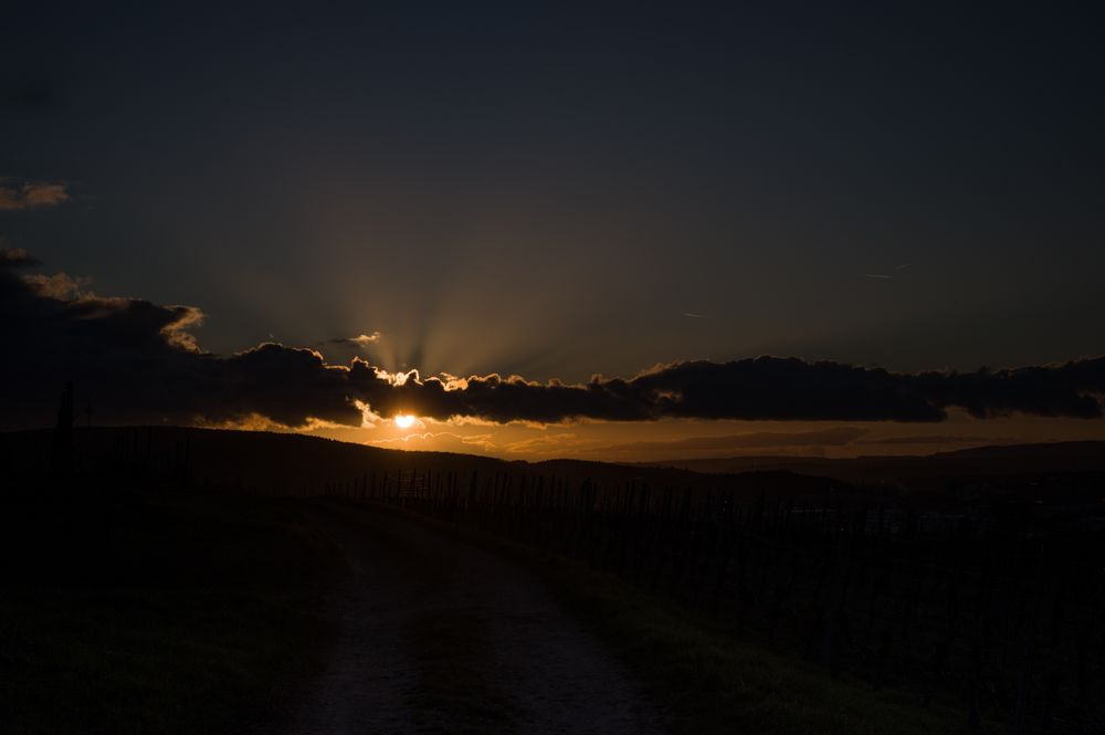 Sonnenuntergang in Rheinhessen am 25.02. 2023