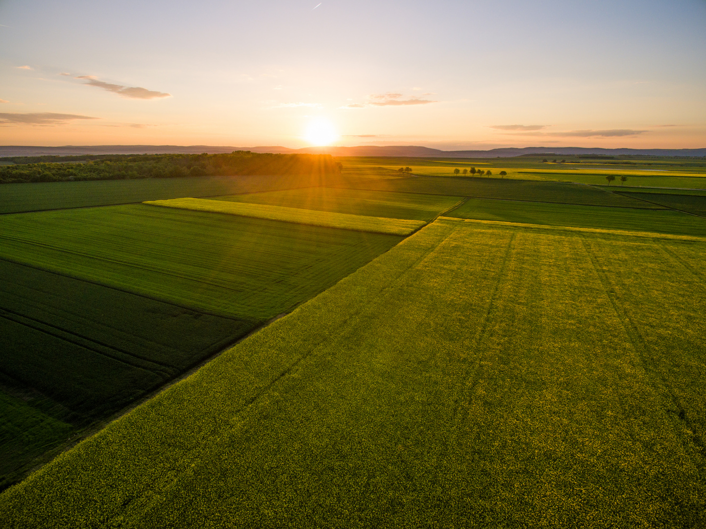 Sonnenuntergang in Rheinhessen