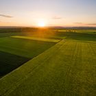 Sonnenuntergang in Rheinhessen