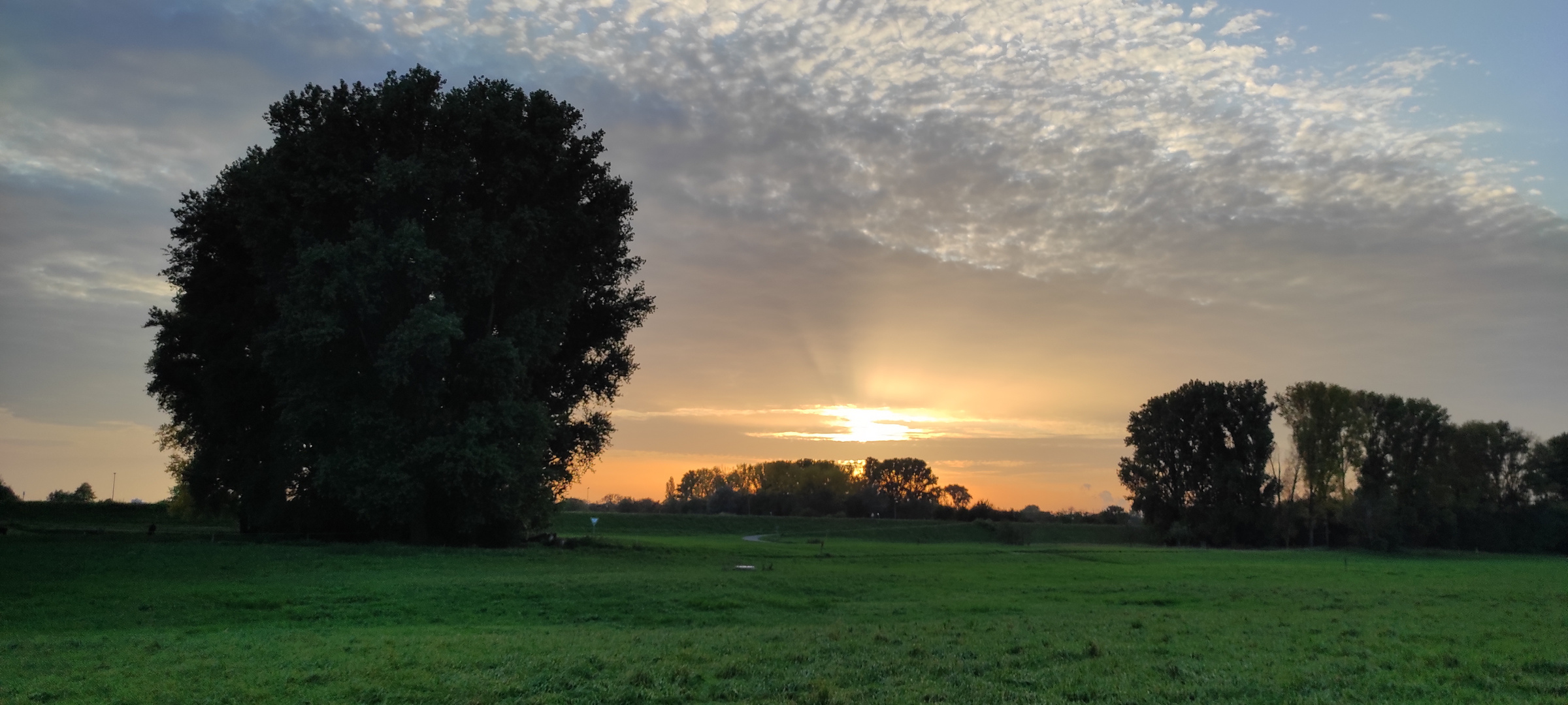 Sonnenuntergang in Rheinkassel 